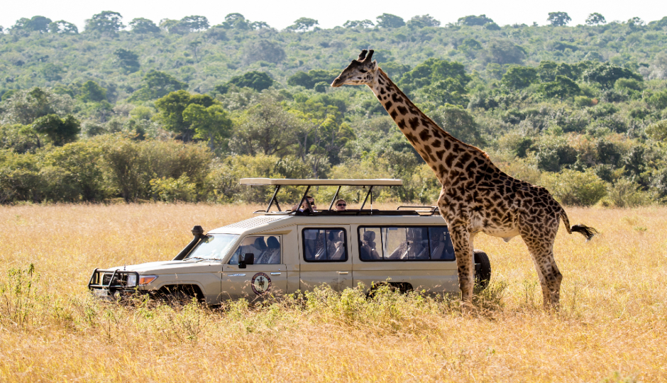 Slides Images for  4 Days Tanzania Camping Safari