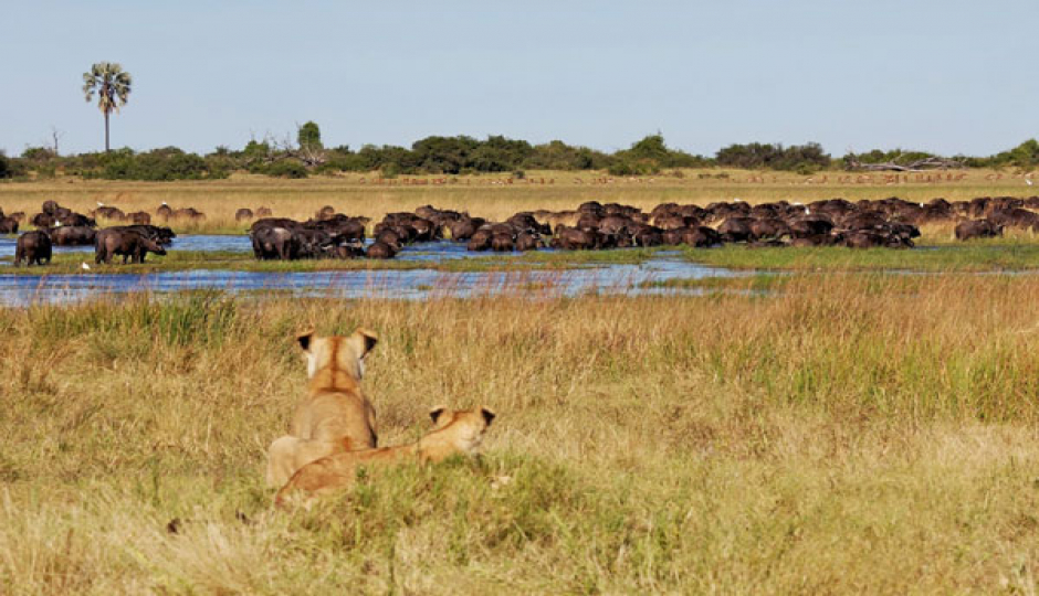 16 Days Combo Safaris Kenya And Tanzania