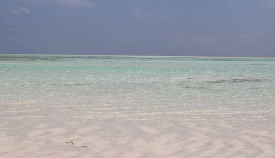 Slides Images for 5 Days Zanzibar Safari Tour Package.