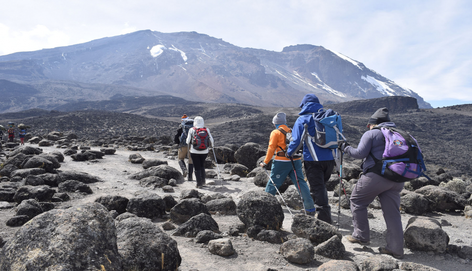 7 Days Climb Kilimanjaro Lemosho Route