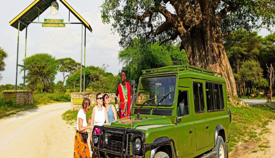 Slides Images for Tarangire Safari Day Trip