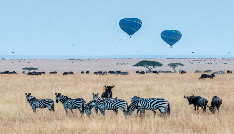 Slides Images for 4 Days Tanzania Luxury Safari Tarangire,