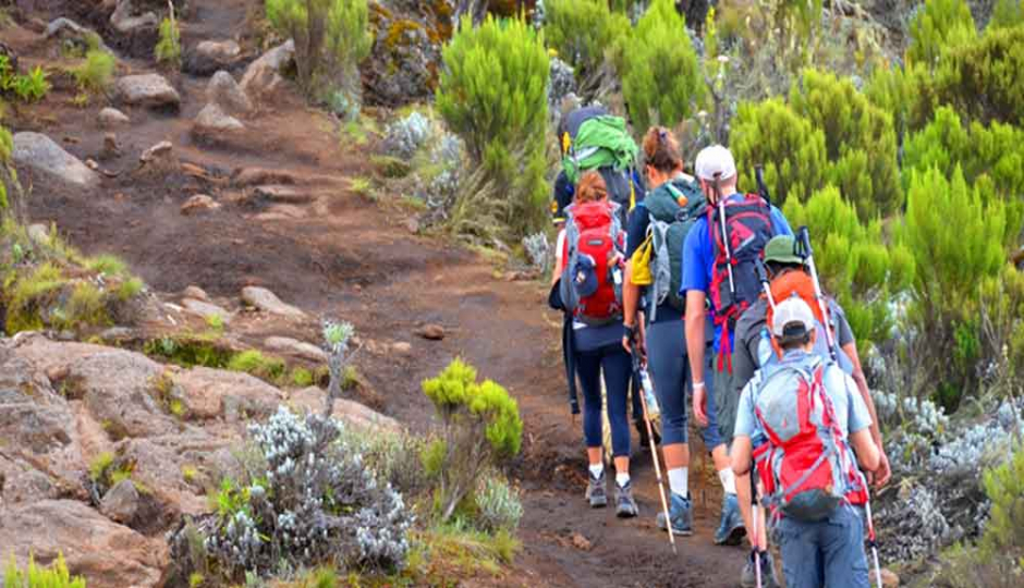 Best 6-day Kilimanjaro Rongai Route