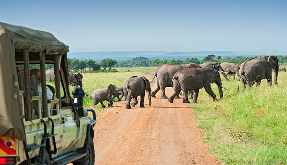 Best 5 Days Tanzania Safari From Arusha