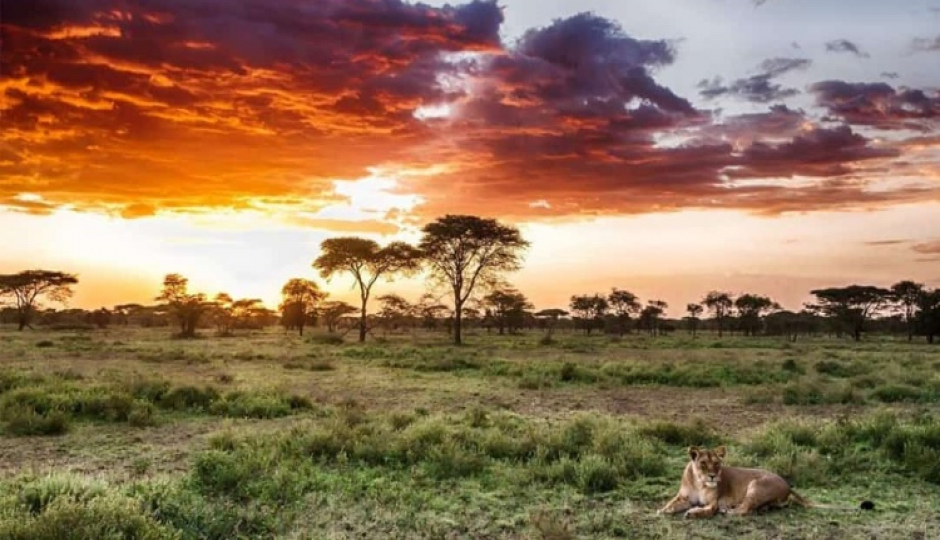 Slides Images for  Serengeti And Ngorongoro Safaris