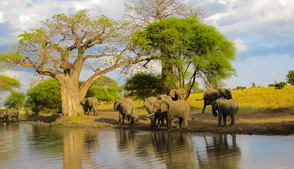 3 Days Tanzania Group Joining Safari