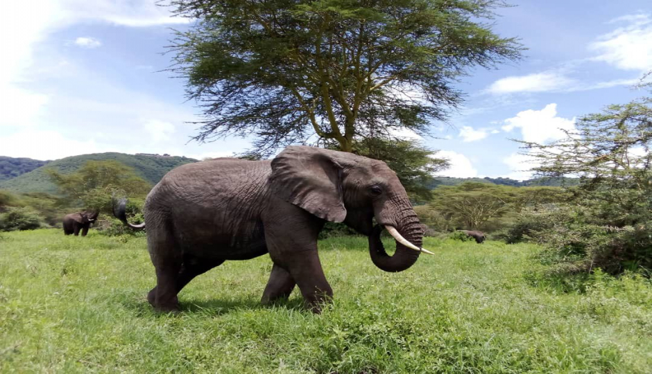 Slides Images for Day Trip To Ngorongoro Crater