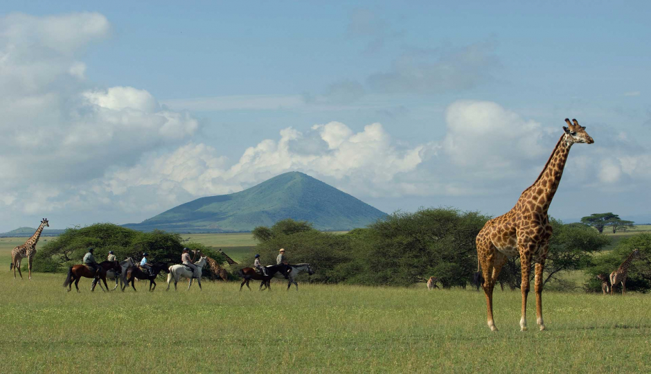 Best 2-day Tanzania Safari