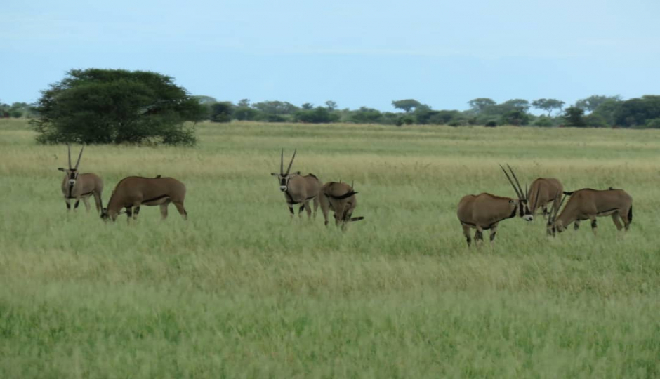 Slides Images for 3 Days Short Lodge Safari.