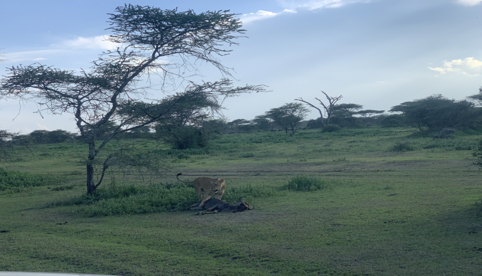 5 Days Tanzania Camping Safari Tour – Group Join