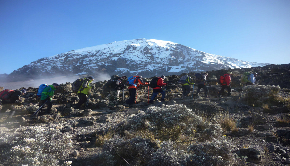 6 Days Scenic Machame Route