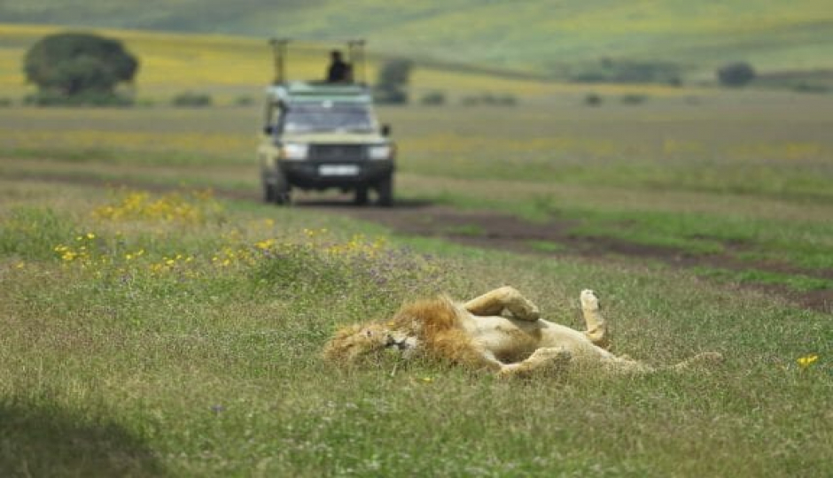 Slides Images for 3 Days Tanzania Safaris