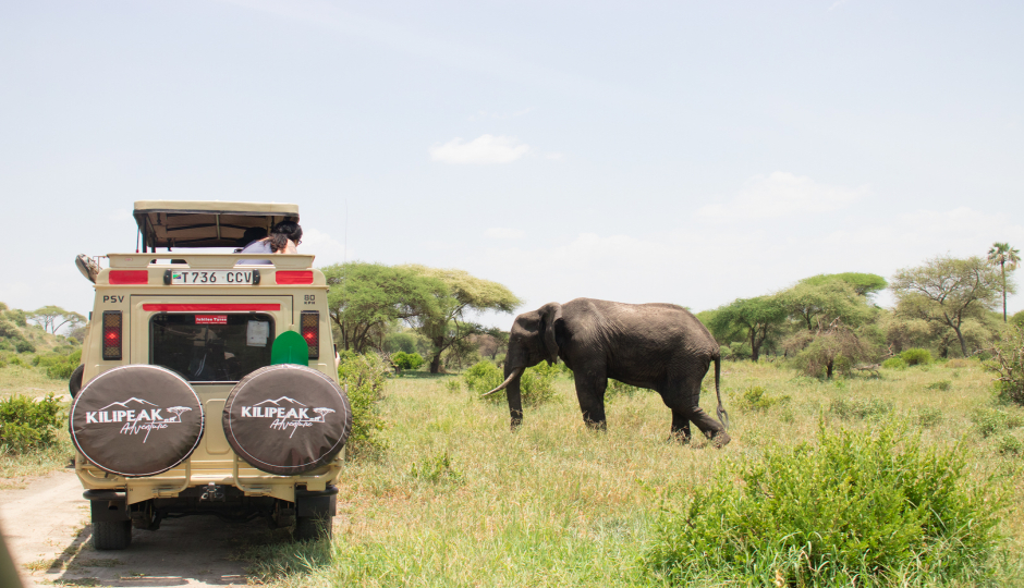 Tanzania Budget Mobile Camping Safari