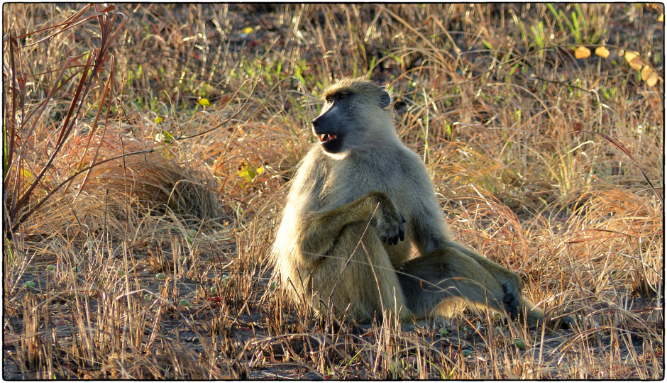 Slides Images for 2 Days Tanzania Mid Range Lodge Safari