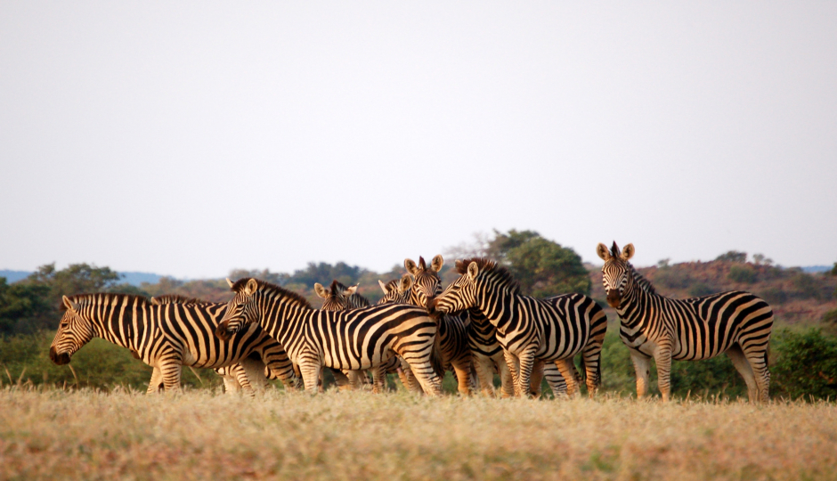 Slides Images for 2 Days Tarangire & Ngorongoro Tanzania 