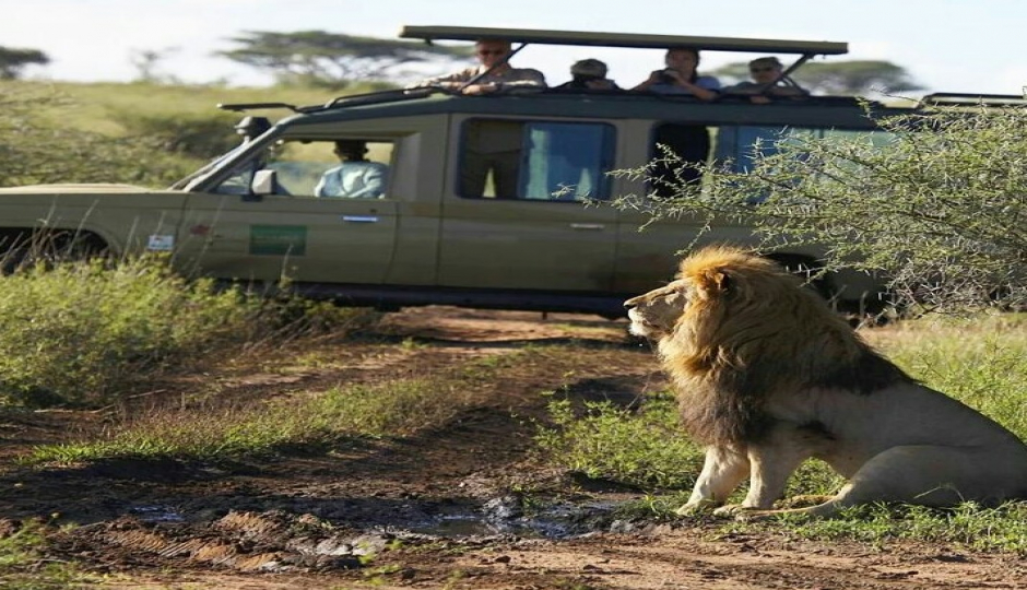 Arusha N.p & Ngorongoro Crater Safari 