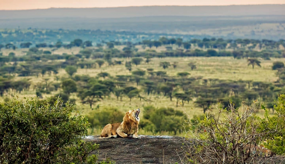 2 Day Safari To Ngorongoro