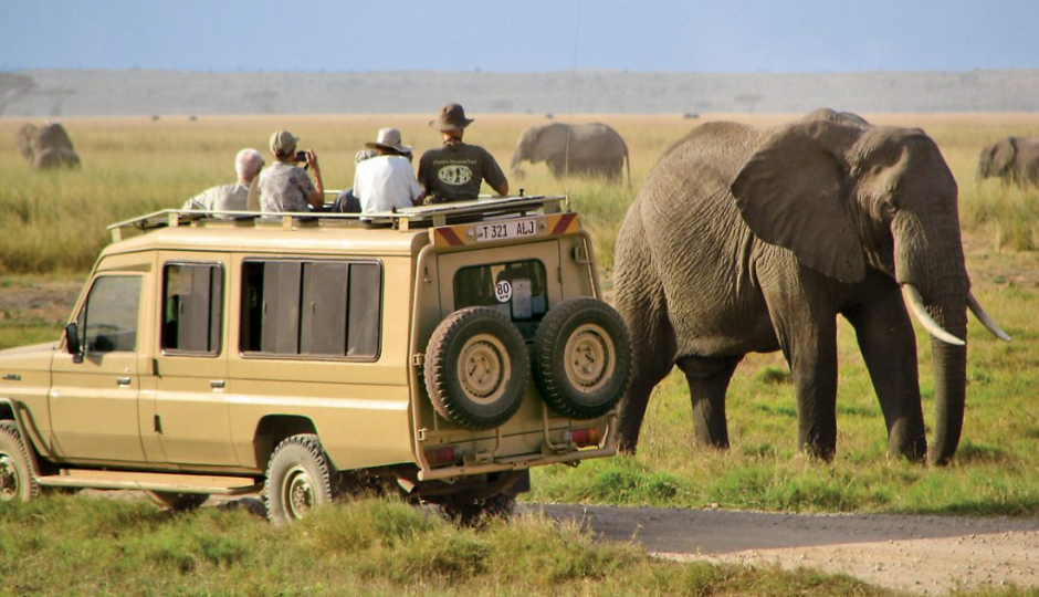 Best 2 Days Tanzania safari from Arusha