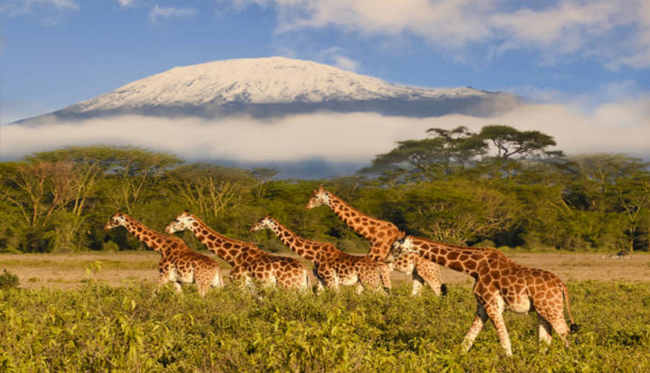 Slides Images for Mountain Kilimanjaro Hiking