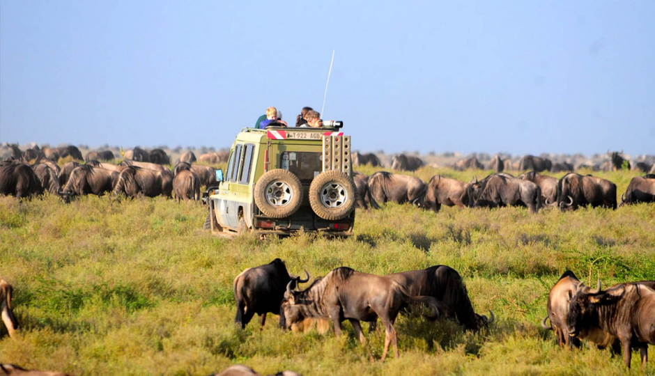 3 Days Tanzania Migration Safari