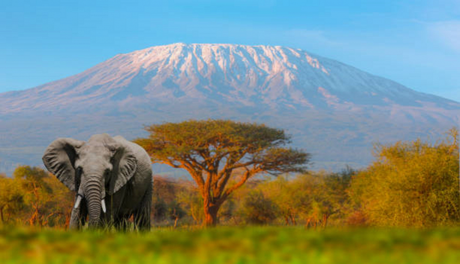 Mountain Kilimanjaro Hiking