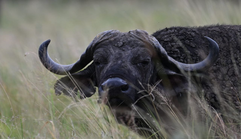 Slides Images for 3 Days Tarangire, Manyara And Ngorongoro Crater 