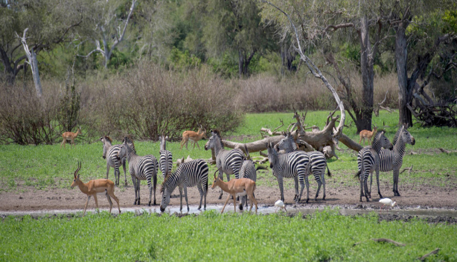 Slides Images for Nyerere National Park