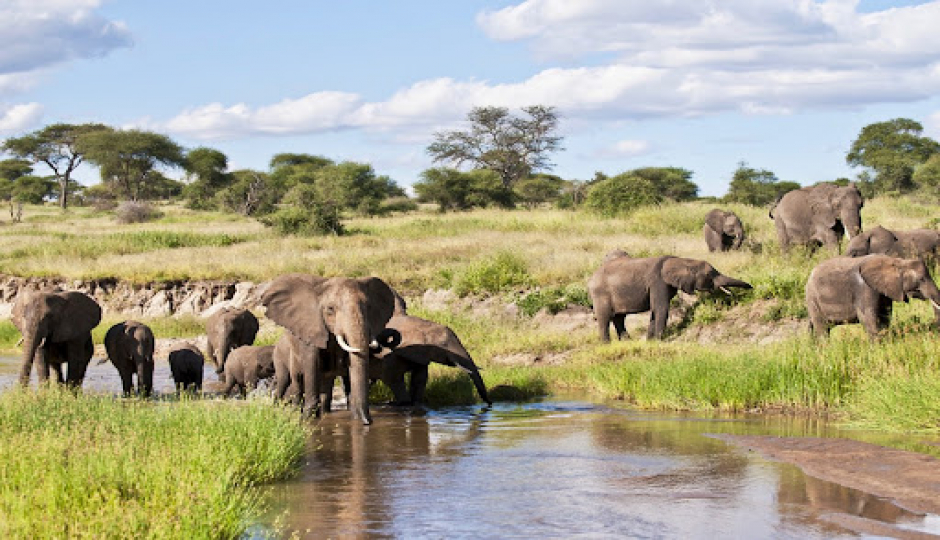 7-day Tanzania Greatest Safari