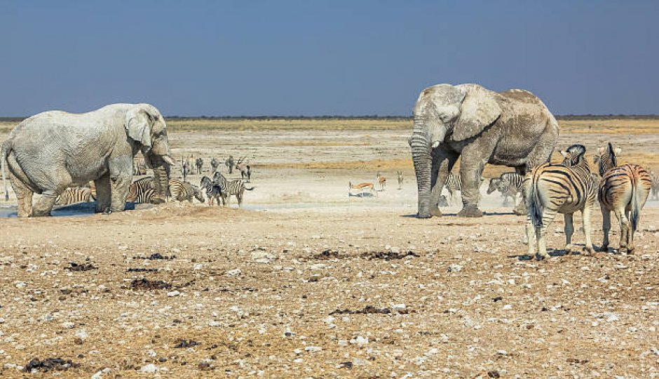 Safari Clásico:los Parques Del Norte De Tanzania