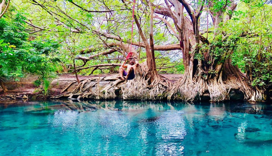 Kikuletwa Hotspring Day Trip