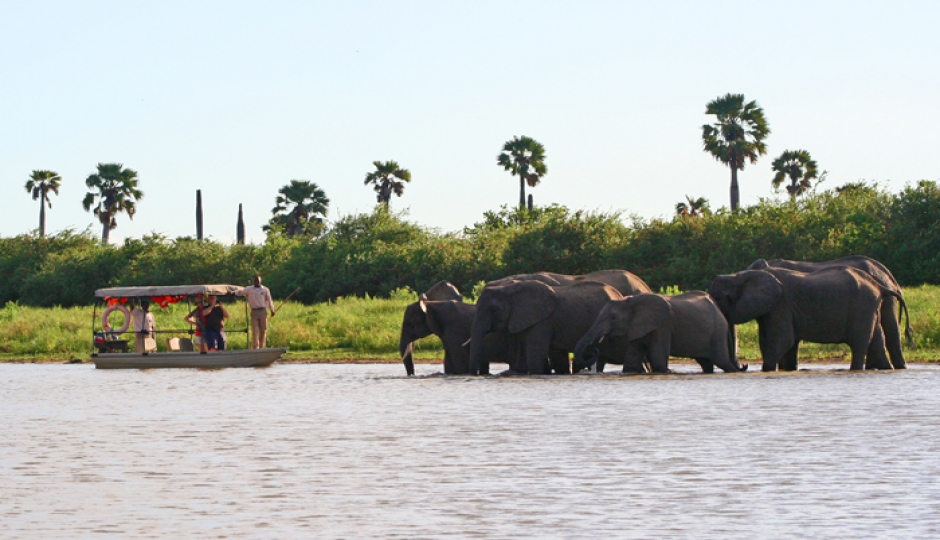 3 Days Safari To Selous Game Reserve