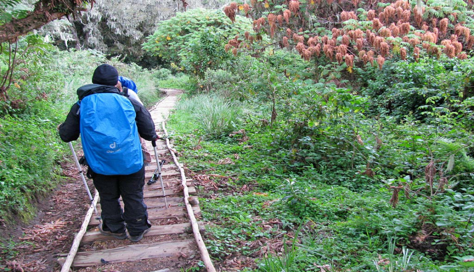 Slides Images for  4 Days Mount Meru Climbing