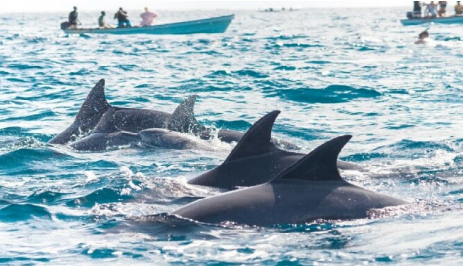 Slides Images for 9-day Zanzibar Beach Holiday Tour