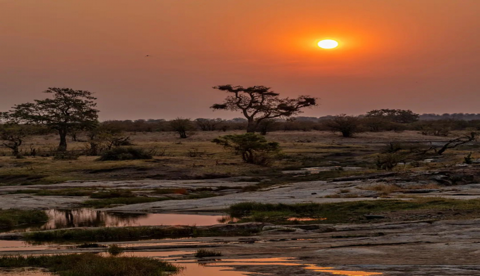 Slides Images for 4 Days Tanzania Safari