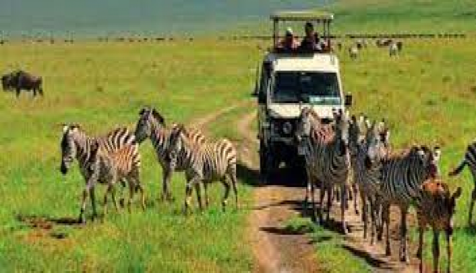 Slides Images for 3 Days Tanzania Safari And Cultural Tour