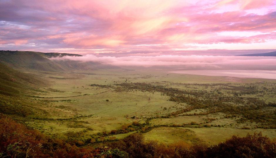 Slides Images for 2-days Tanzania Wonderful Safari