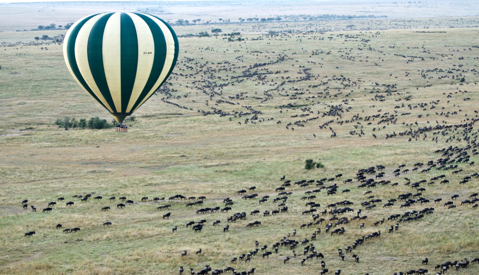 Slides Images for 7 Days Tanzania Serengeti Migration.