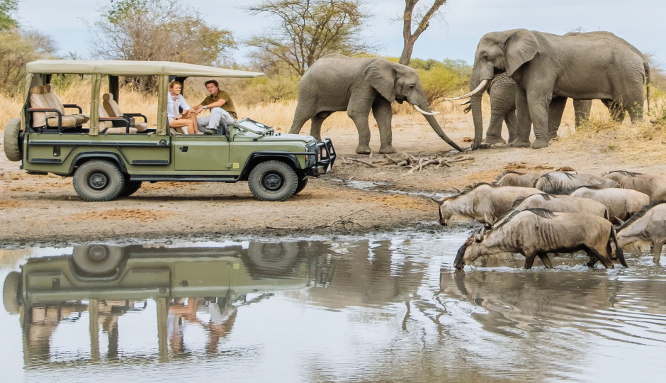 3 Days Sharing Tanzania Safari