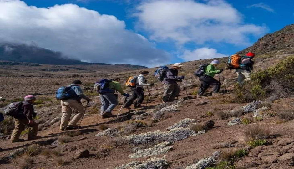 Slides Images for 6 Days Kilimanjaro Climb Via Umbwe Route