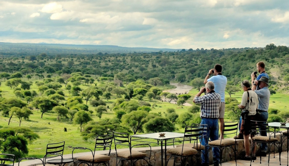 The Best 5-day Tanzania Safari Tours