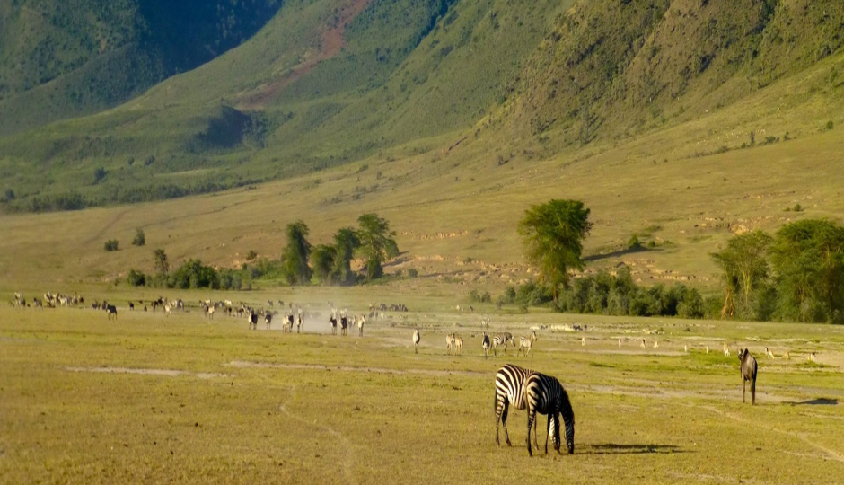 2 Days Trip  Safaris In Tanzania 