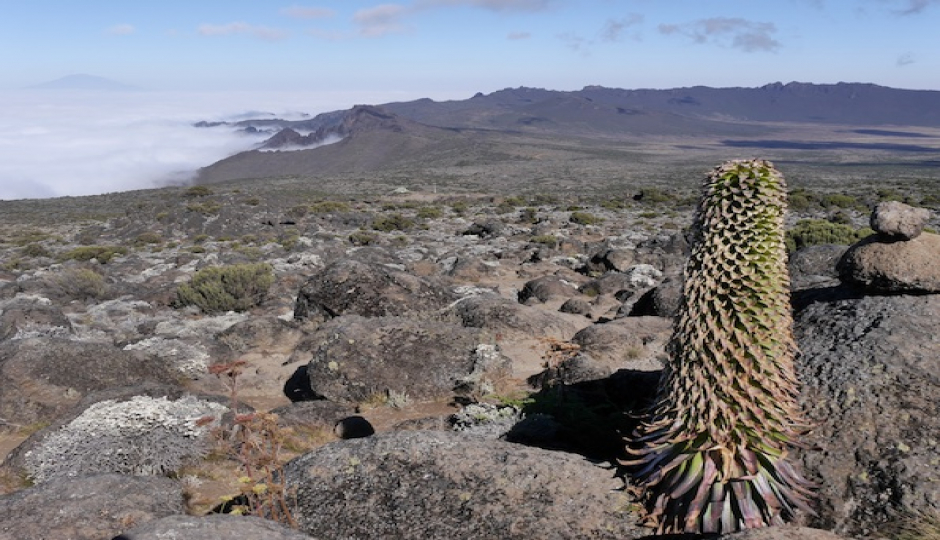 Slides Images for 4-day Mount Meru Trekking Trip