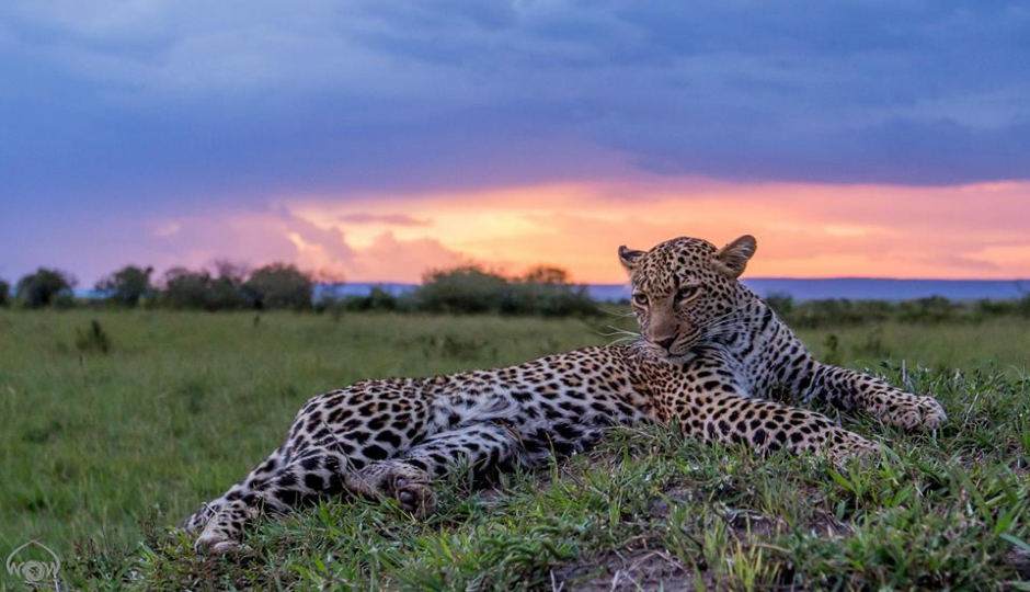 11 Days Kenya And Tanzania Budget Group Safari