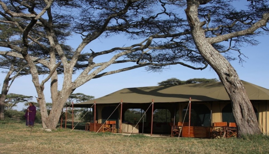 6 Days Serengeti Tented Camps Safari