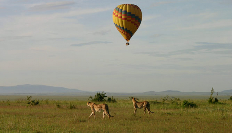 Slides Images for 4 Days Serengeti National Park 