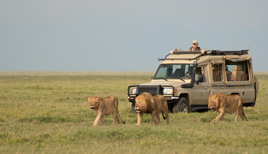 Northern Tanzania Camping Safari