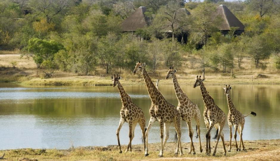 Slides Images for Discover Tsavo: A 3-day Private Safari Experience