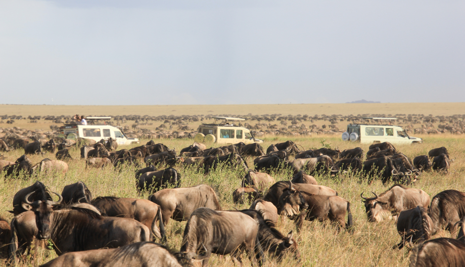 5 Days Tanzania Camping (budget) Safari 