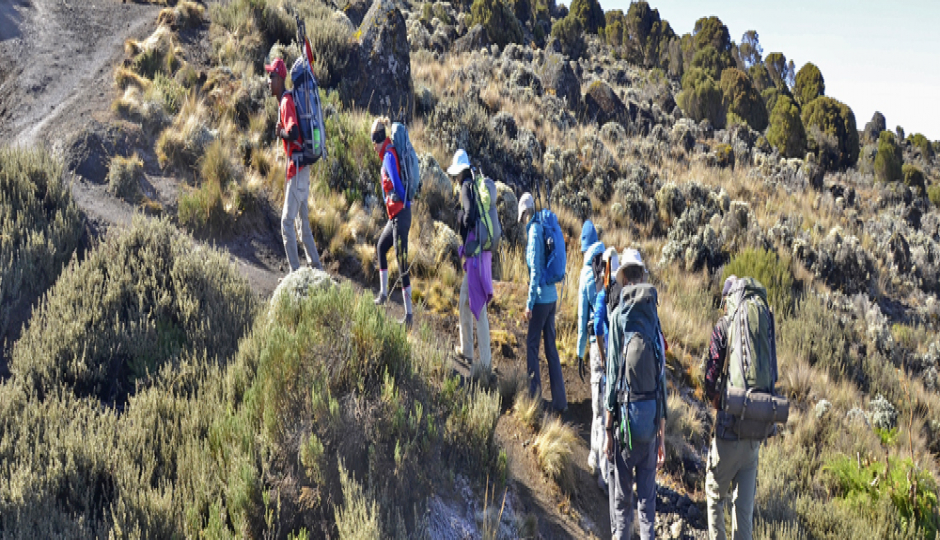 Slides Images for 7 Days Lemosho Route Climbing