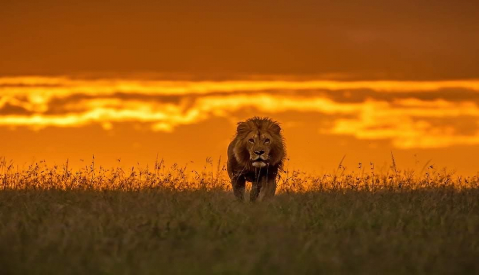 Slides Images for  5 Days Manyara Ngorongoro Serengeti